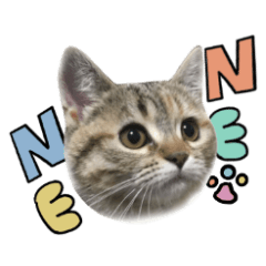 [LINEスタンプ] ネネとルミちゃん