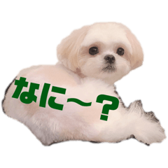 [LINEスタンプ] 寂しがり屋ももちゃん 2