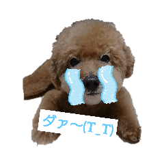 [LINEスタンプ] ジィジィ君Ⅱ