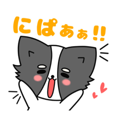 [LINEスタンプ] チワワん【甘いもの大好き系】