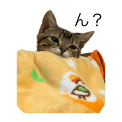 [LINEスタンプ] れおんきゅん