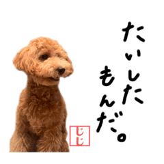 [LINEスタンプ] さきちゃんすたんぷぅ