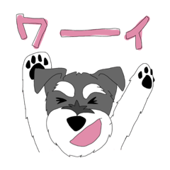 [LINEスタンプ] お茶んぷ2 ミニチュアシュナウザーお茶くん