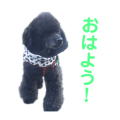 [LINEスタンプ] ルパンくんスタンプ第二弾