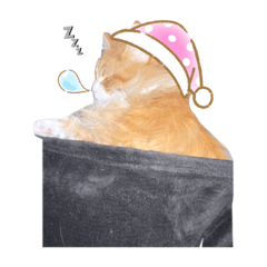 [LINEスタンプ] LVC