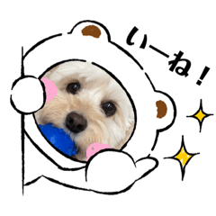 [LINEスタンプ] 集まれ美人ワンコの森！