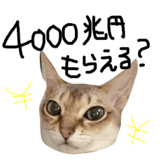 [LINEスタンプ] そちゃんぷ 2