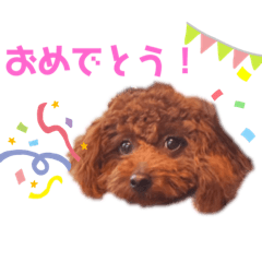 [LINEスタンプ] Ruby......