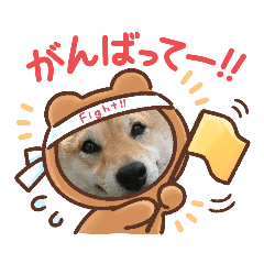 [LINEスタンプ] cccbbbbbbkkk33