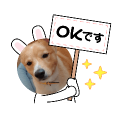 [LINEスタンプ] 琉球犬です。