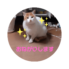 [LINEスタンプ] 生きもの好き
