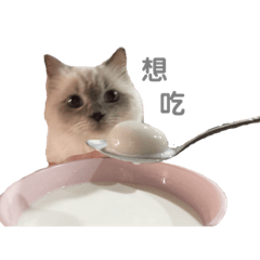 [LINEスタンプ] ドビーの日常生活