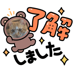 [LINEスタンプ] ボンの可愛いスタンプ