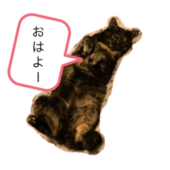 [LINEスタンプ] くぅ『猫』