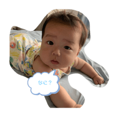 [LINEスタンプ] りんぽこまる