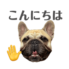 [LINEスタンプ] フレブルのジョージさん敬語