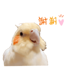 [LINEスタンプ] NutsとRUI