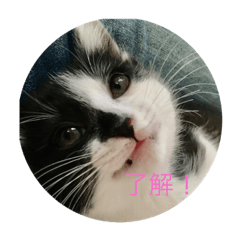 [LINEスタンプ] Luna