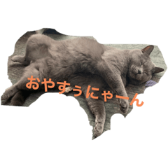[LINEスタンプ] santaroスタンプ