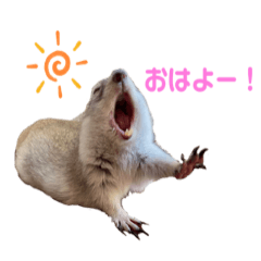 [LINEスタンプ] リチャードソンジリスのとろろ