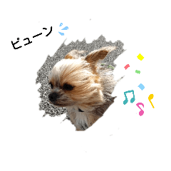 [LINEスタンプ] 最愛の息子犬③
