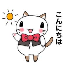 [LINEスタンプ] チョッキねこ(私が使いたいスタンプ)