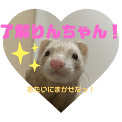 [LINEスタンプ] フェレットのりんちゃん