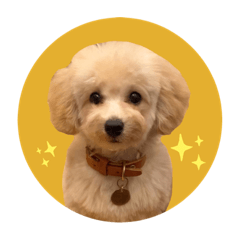 [LINEスタンプ] ぼく、ポテチくん。