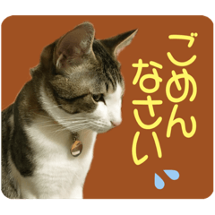 [LINEスタンプ] ビビ＆カカ4
