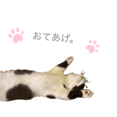 [LINEスタンプ] とーふの気持ち。