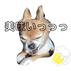 [LINEスタンプ] 小林きなこちゃん