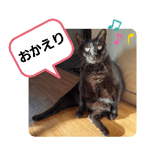 [LINEスタンプ] ぶーたんと、さちくんの日常