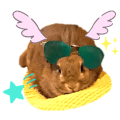 [LINEスタンプ] うさぎスタンプ！＋‪α‬