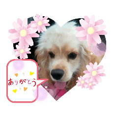 [LINEスタンプ] タックルの愉快なスタンプ