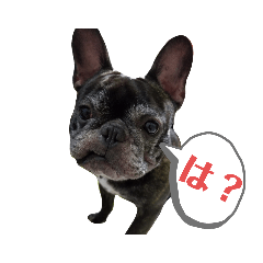 [LINEスタンプ] ブサイクな犬スタンプ