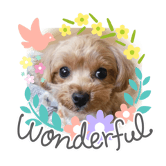 [LINEスタンプ] くるくるみんと