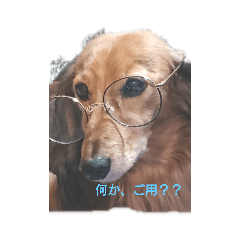 [LINEスタンプ] 一休シリーズ