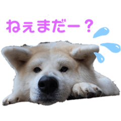 [LINEスタンプ] 愉快な奴ら‼︎