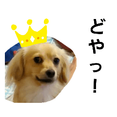 [LINEスタンプ] れんの日々