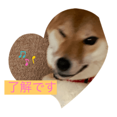 [LINEスタンプ] 小ましゃ春日和