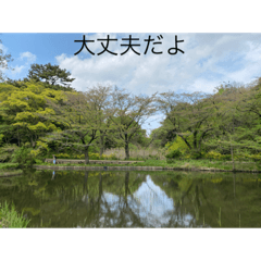 [LINEスタンプ] 感謝と自然と