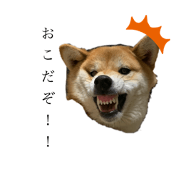 [LINEスタンプ] うちのうめこすたんぷ