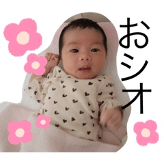 [LINEスタンプ] おシオさん