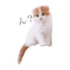 [LINEスタンプ] はちとたわこ