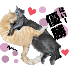 [LINEスタンプ] ちくわとトトロ 03