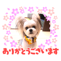 [LINEスタンプ] うめちゃんが可愛すぎて。