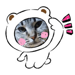 [LINEスタンプ] 猫達001