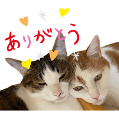 [LINEスタンプ] レオンとクール