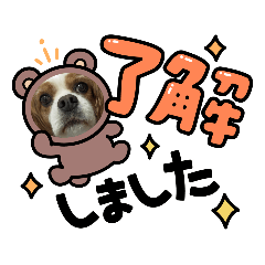 [LINEスタンプ] キャバリアぎんときスタンプ4
