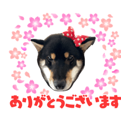 [LINEスタンプ] otsukaginkun